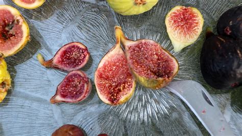 The Scoop on 30 Fig Varieties .